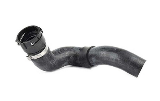 radiator hose