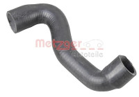 Radiator hose