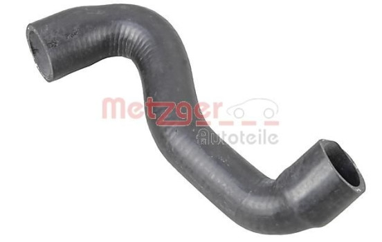 Radiator hose