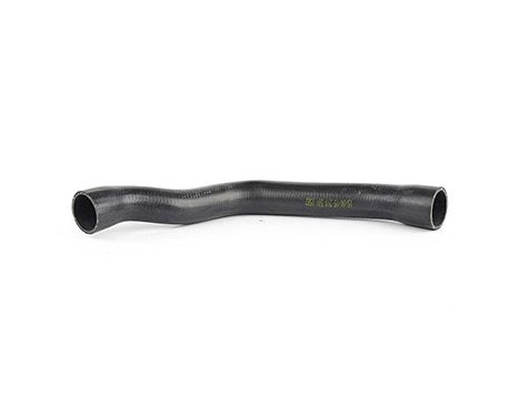 radiator hose, Image 2