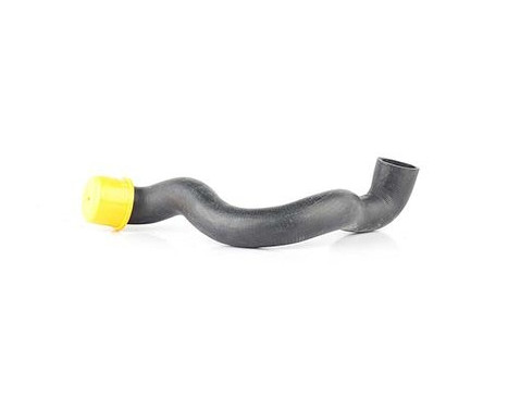 radiator hose, Image 2