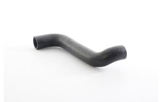 radiator hose, Image 2