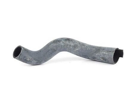 radiator hose, Image 2