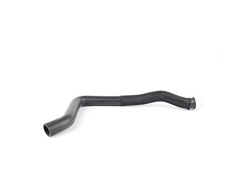 radiator hose, Image 2