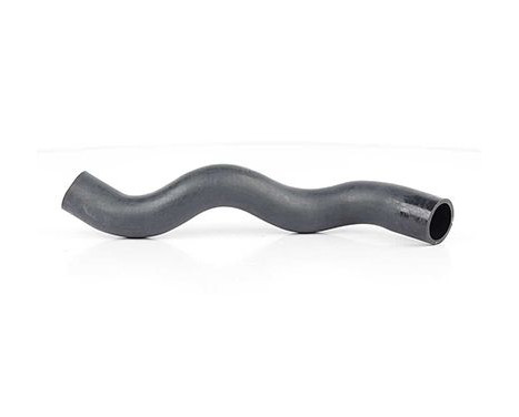radiator hose, Image 2