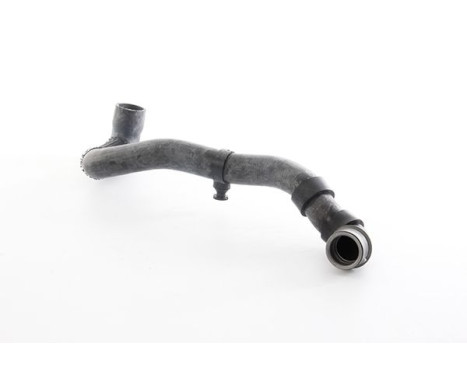 radiator hose, Image 2