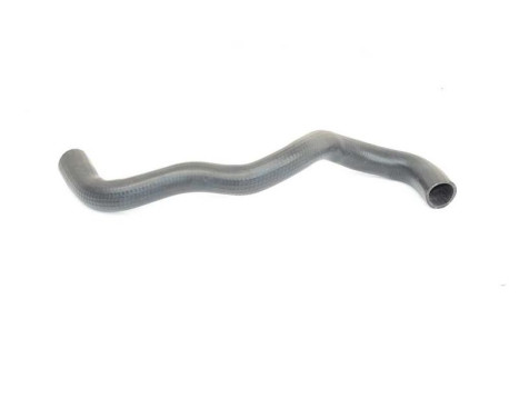 radiator hose, Image 2