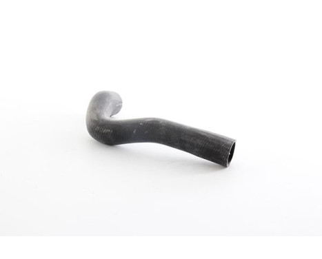 radiator hose, Image 2