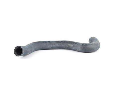 radiator hose, Image 2