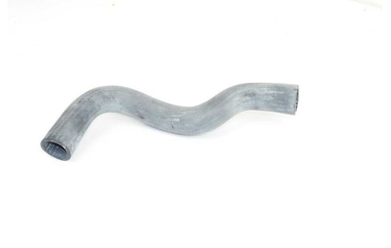 radiator hose, Image 2