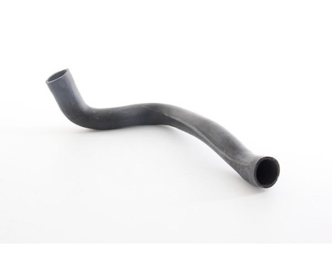 radiator hose, Image 2