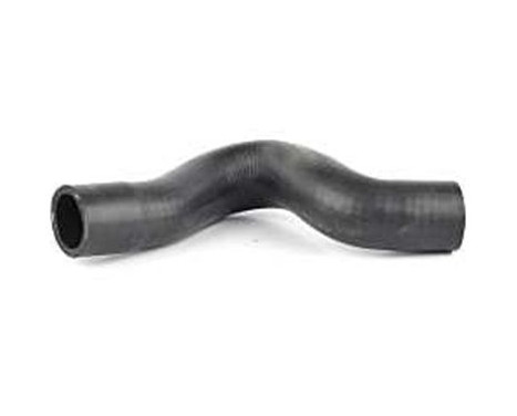 radiator hose, Image 2