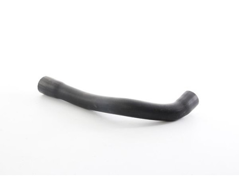 radiator hose, Image 2