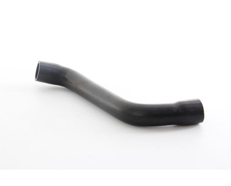radiator hose, Image 2