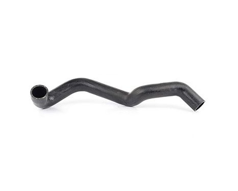 radiator hose, Image 2