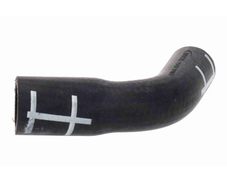 Radiator hose, Image 2