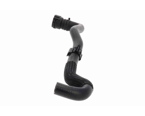 Radiator hose, Image 5