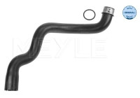 Radiator hose