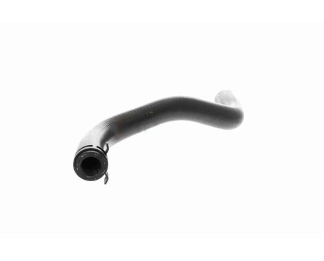 Radiator hose, Image 3