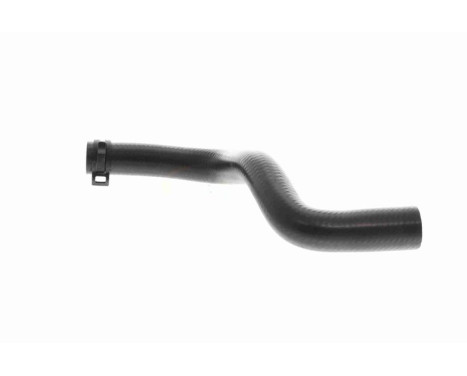 Radiator hose, Image 5