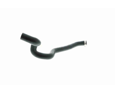 Radiator hose, Image 10