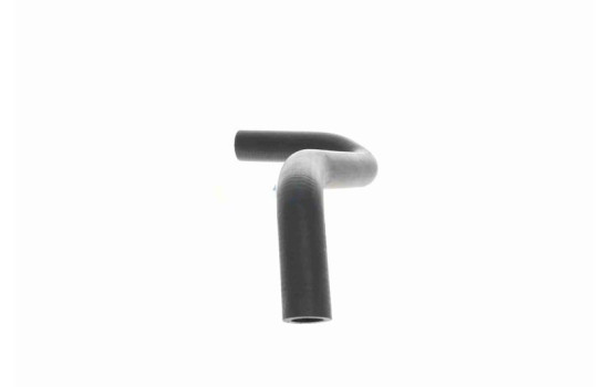 Radiator hose, Image 5