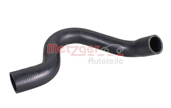 Radiator hose