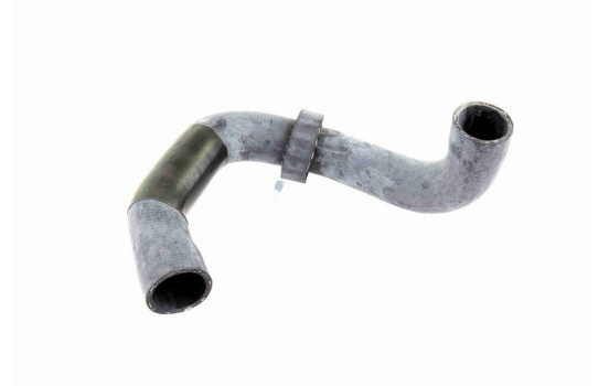 Radiator hose, Image 2