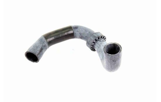 Radiator hose, Image 3