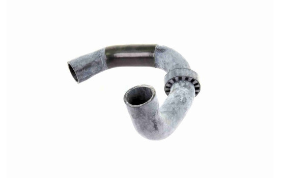 Radiator hose, Image 4