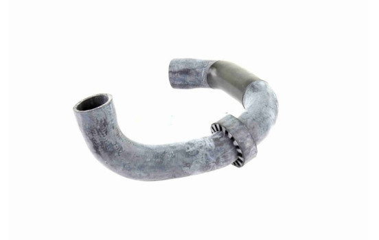 Radiator hose, Image 5