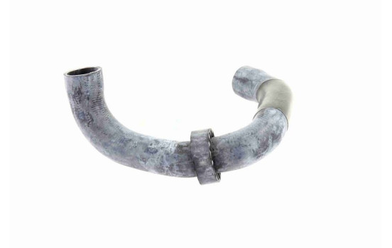 Radiator hose, Image 6