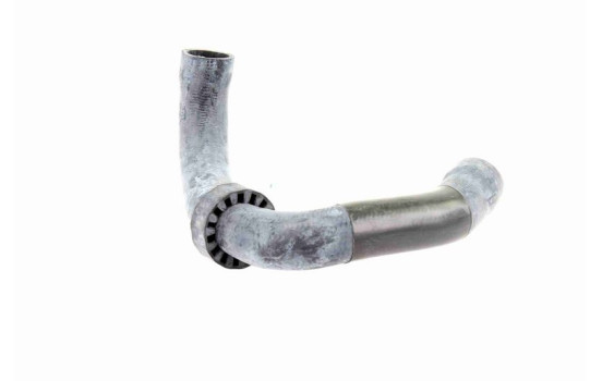 Radiator hose, Image 7