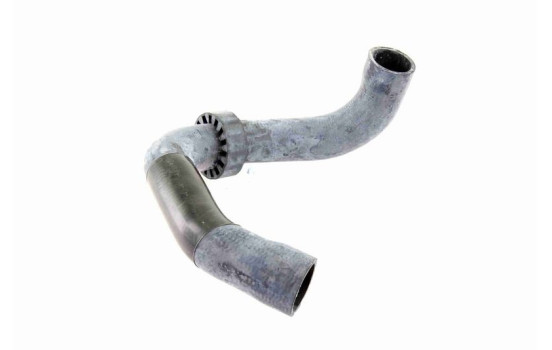 Radiator hose, Image 9