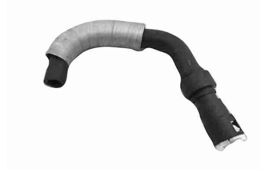 Radiator hose