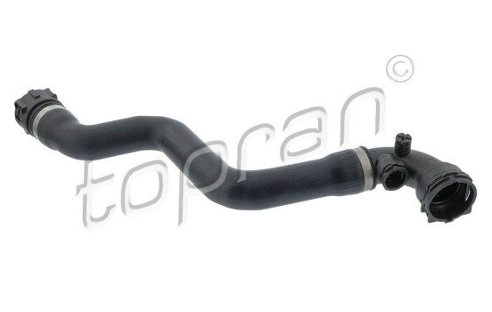 Radiator Hose