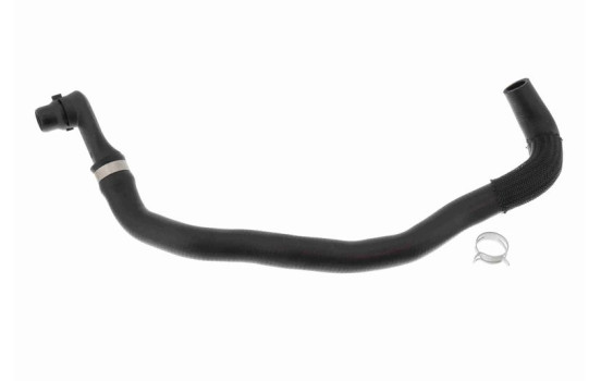 Radiator hose