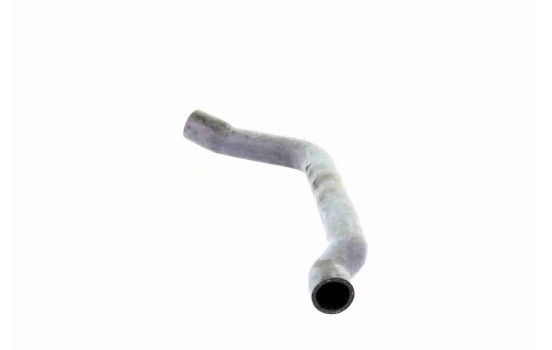 Radiator hose, Image 4