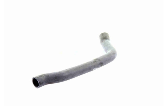 Radiator hose, Image 5