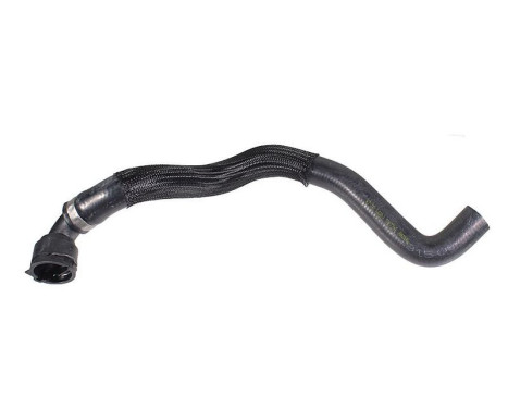 Radiator hose