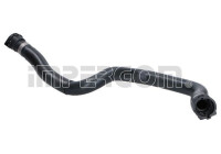 Radiator hose