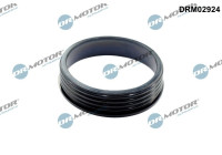 Sealing ring, charge air hose