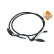 Urea Hose