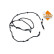 Urea Hose, Thumbnail 5