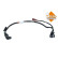 Urea Hose