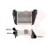 Intercooler, charger 03004188 International Radiators