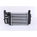 Intercooler, charger 96262 Nissens