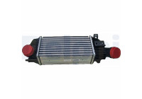 Intercooler, charger TSP0755006 Delphi