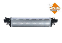 Intercooler, charger