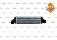 Intercooler, charger